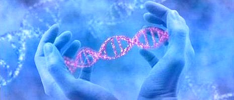 DNA-is-multidimensionaal-