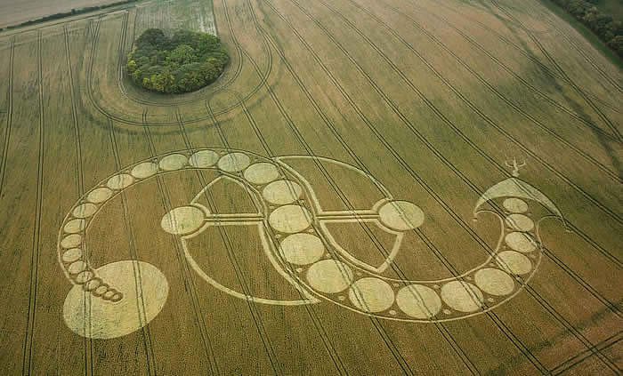 Dragon West Woodhay Down 2, Wiltshire
