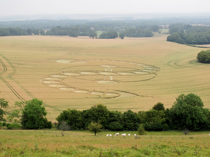 Dragon West Woodhay Down 3, Wiltshire
