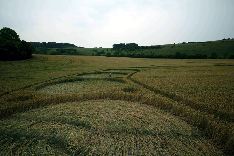 Dragon West Woodhay Down 4, Wiltshire