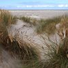 Duin en strand 1