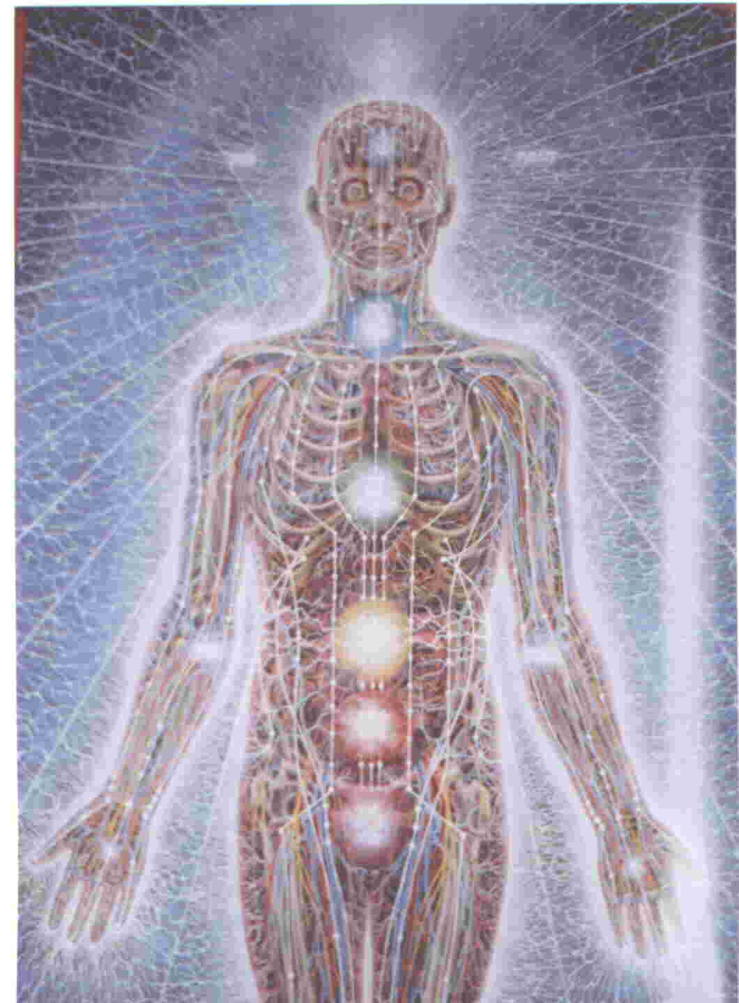 Energy body Alex Grey