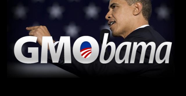 GMObama-640x330