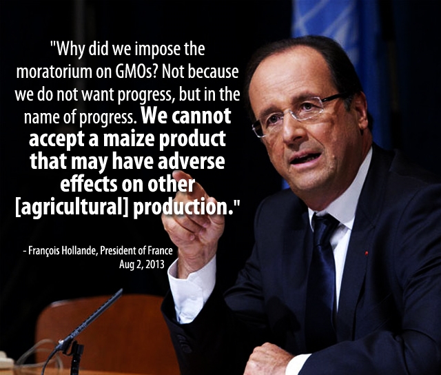 Hollande GMO
