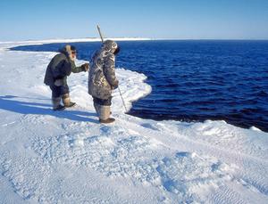 " Dus als de Inuit het hebben over de Zon en de sterren, doen ze dat vanuit hun zeer grondige kennis van deze systemen."