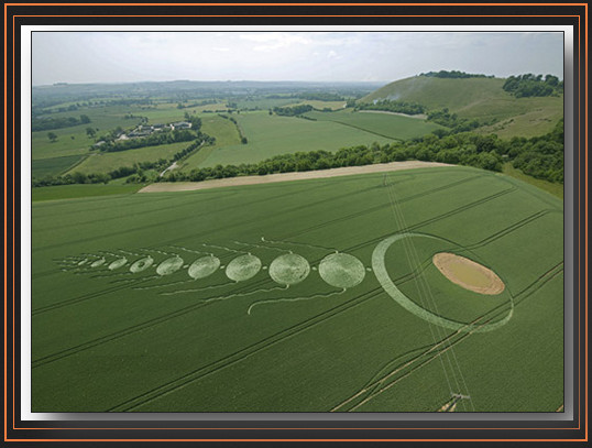 Martinsell Hill bij Wooten Rivers graan crop