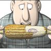Bittere humor, maar de kern van de zaak: Hoe kun je 'eigenaar' zijn van 'voedselzaden'..? Het lijkt het enige doel van Monsanto, ondanks allerlei mooie, maar loze verhaaltjes. De onschadelijkheid van GMO is daarbij ook nog NOOIT bewezen!