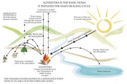 De werking van Agnihotra is relatief complex; alle elementen werken tijdens de ceremonie in resonantie mee aan het herstellen van balans en creëren van helende energie.