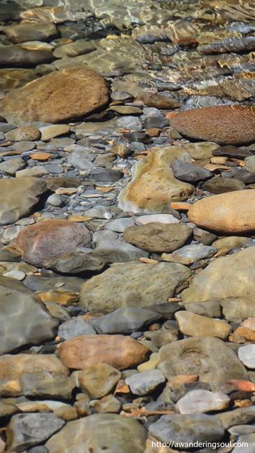 animated pebbles river