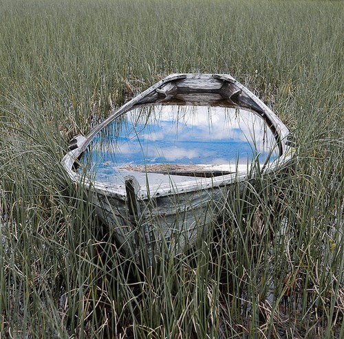 boat water grass