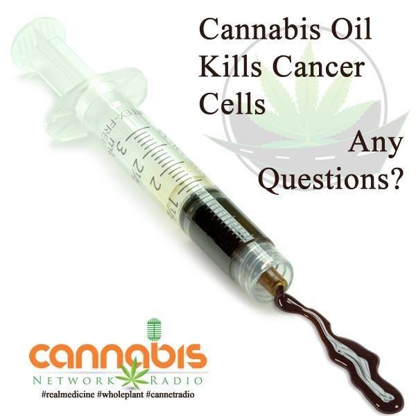 cannabis kills cancer