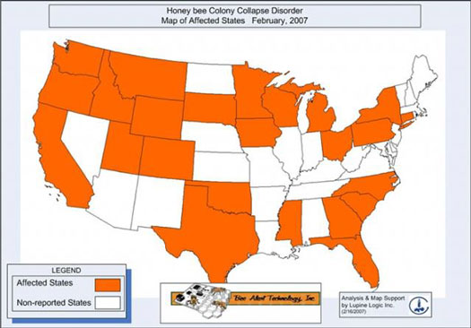 ccdmap