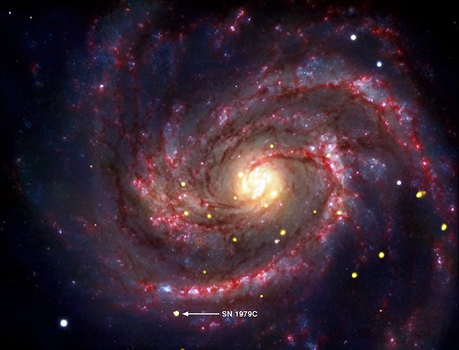 chandra black hole observation nov 2010