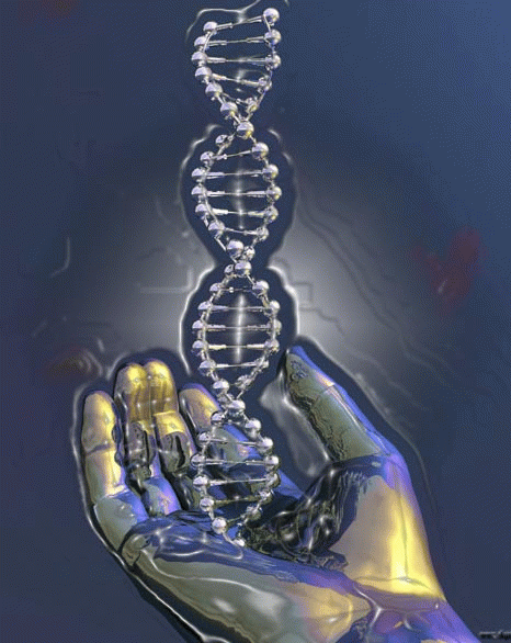 dna animated