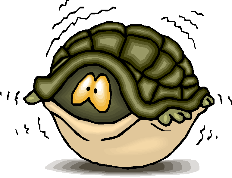 fear turtlle