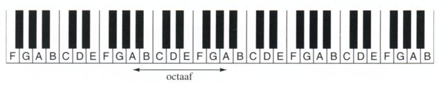 fig121 Het klavier met zijn zeven witte en vijf zwarte toetsen. Acht witte toetsen omvatten samen een octaaf.