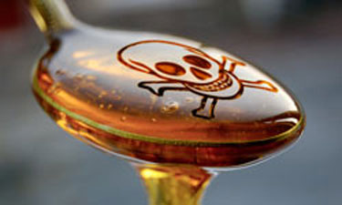 high fructose corn syrup spoon skull