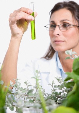 De reguliere wetenschap dient zich steeds meer af te vragen of haar manier van onderzoeken niet ter discussie staat, in plaats van de geneeskunst die Homeopathie is!