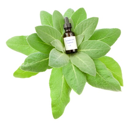 homeopathie plantblad