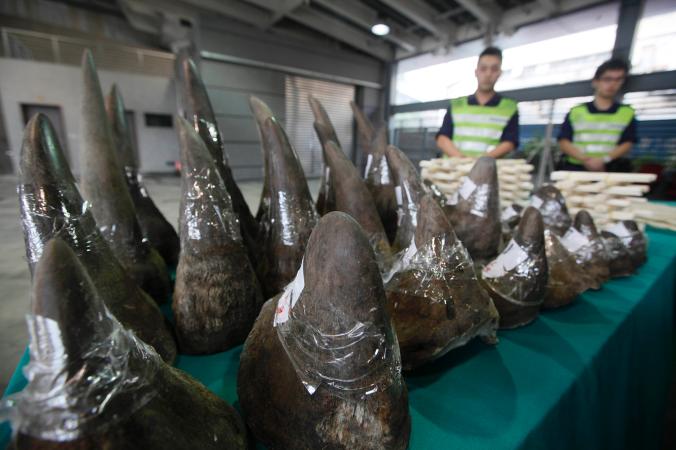 In beslag genomen neushoorns op de luchthaven van HongKong
