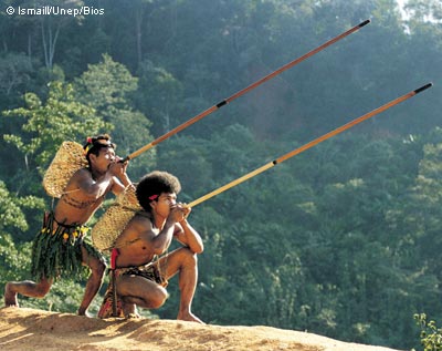 indigenous-people-hunting-with-blowpipes-in-malaysia