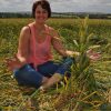 Graancirkelonderzoekster Drs. Janet Ossebaard in 2011 bij een typisch fenomeen van de graancirkels: de knoop..! Een bijna niet door mensenhanden te maken 'pluk' graanhalmen, die vaak in het centrum van een graanformatie te vinden zijn.