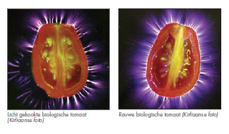 Kirlianfoto van tomaten; rechts een verse tomaat en links een tomaat die al een aantal dagen ouder is. (klik voor artikel hier op de site)