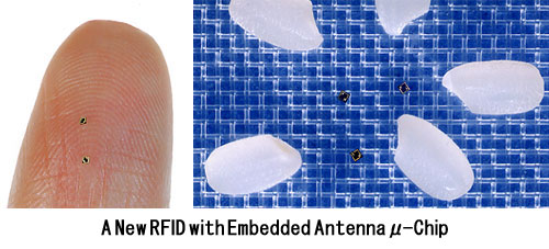micro_rfid_antenna Een voorbeeld van een minuscule RFID-chip.