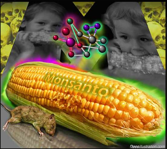 monsanto DEES