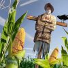 monsanto-barack-obama
