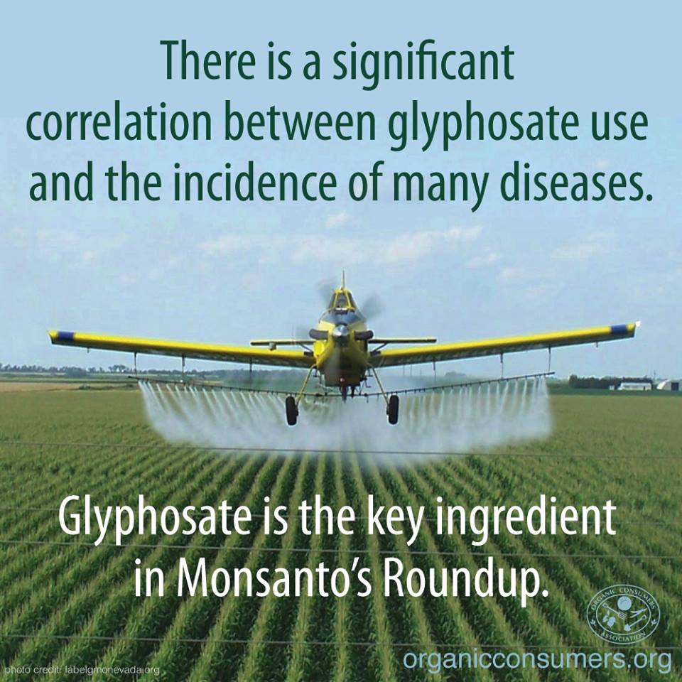monsanto glyfosaat