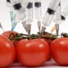 monsantos tomaten injecties
