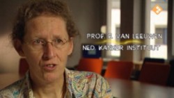 prof. dr. Floor van Leeuwen