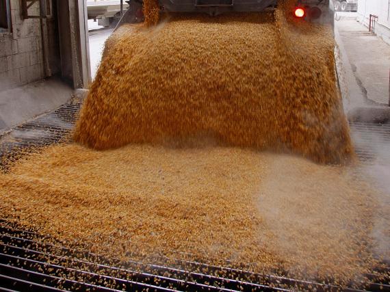 r-HIGH-FRUCTOSE-CORN-SYRUP-SUGAR-large570