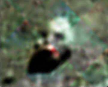 robot skull moon cernan schmitt