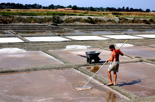salt-harvesting-fleur-de-sel