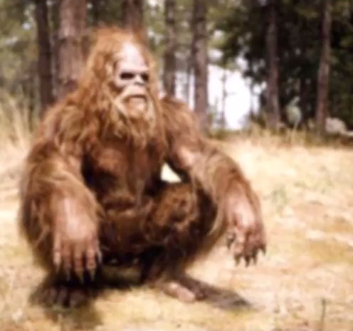 sasquatch 3