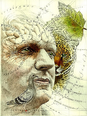Het is vooral het dappere wetenschappelijk onderzoek van Dr. Rupert Sheldrake, dat onze onlosmakelijke verbinding met 'Het Veld' aantoont..