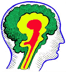 threebrains