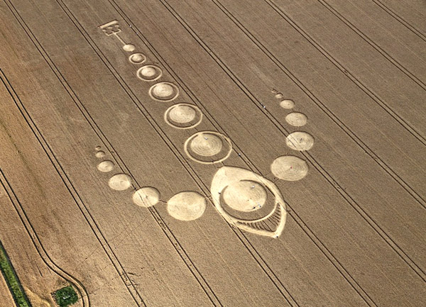 whale crop circle
