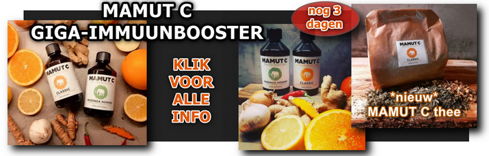 MAMUT C banner + thee okt 2021