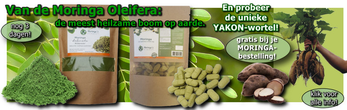 Moringa + Yakonwortel NB banner febr 2022