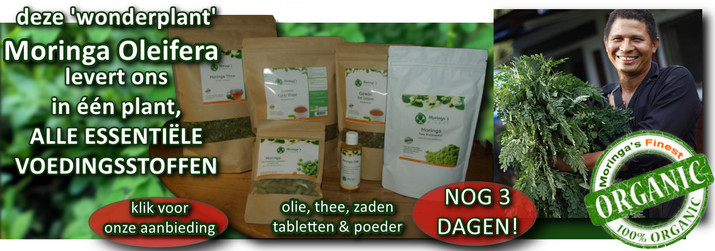 Moringa NB banner nov 2021