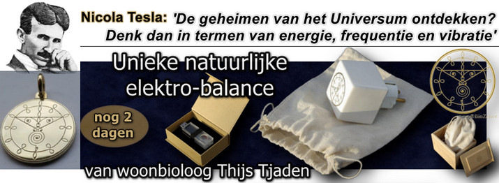 Banner NB Tjade producten en quote TESLA