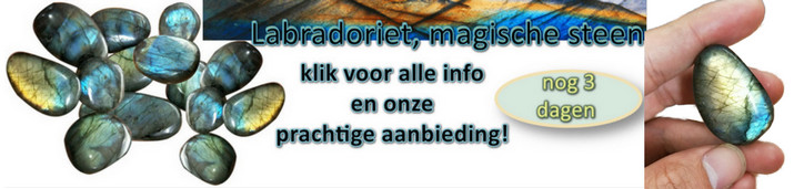 Labradoriet banner NB juni 2023