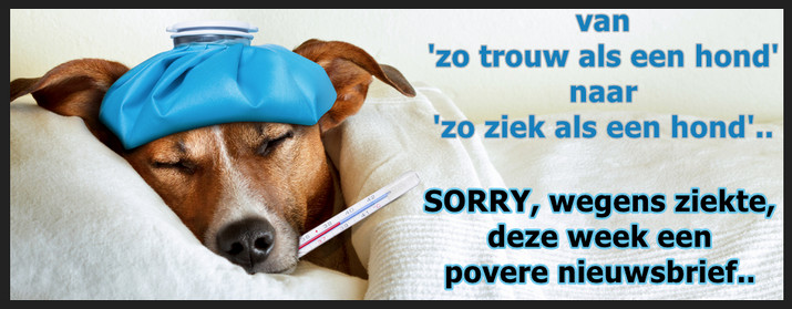 Ziekte redactie NB beperkt