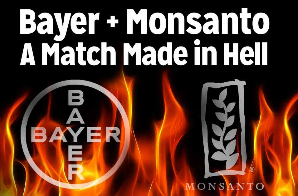 bayer-monsanto-match-made-in-hell