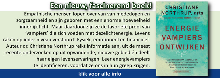 energiie vampiers Succesboek NB banner