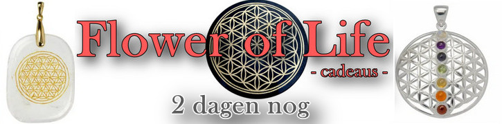 Flower of Life banner 2 dagen nog