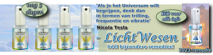 LichtWesen banner NB januari 2023